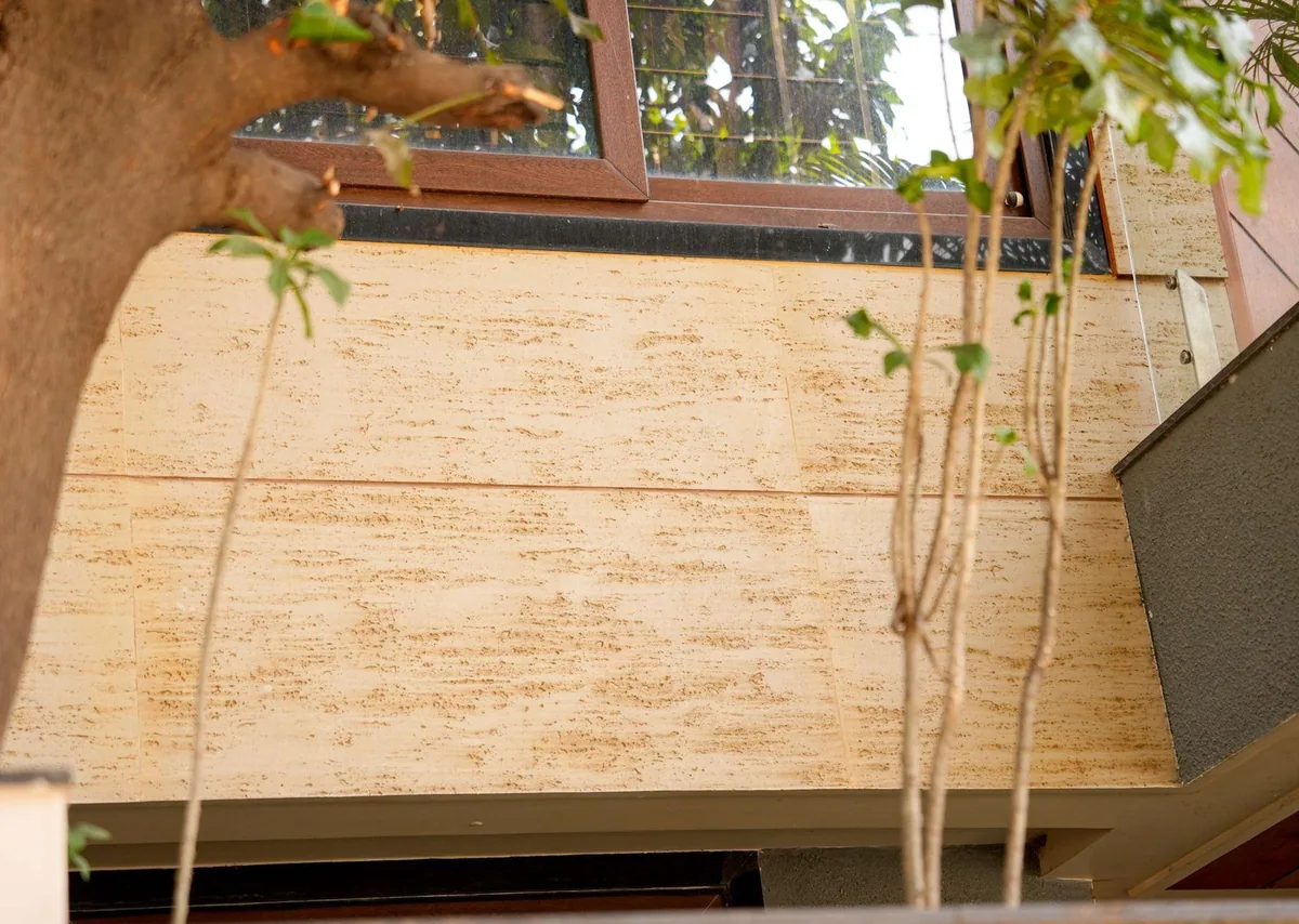 The banded wall behind the mango tree